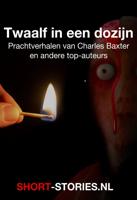 Twaalf in een dozijn - Charles Baxter, Pavel Melnikov, Alice Munro, Dashiell Hammet, John Jansen van Galen, Peter van Gestel, Roel van Duyn, Be - ebook