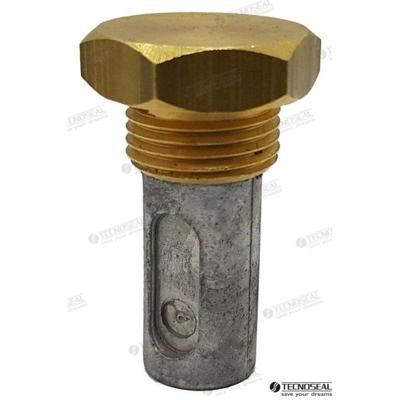 TEN02090T - RENAULT ANODE MET STEKKER