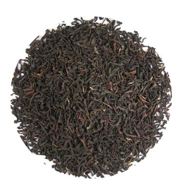 Java superior Santosa OP