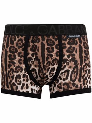 Dolce & Gabbana boxer à imprimé léopard - Tons neutres