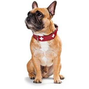 Hunter Collar Swiss Zwart, Rood Leer Medium Hond Standaard halsband