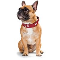 Hunter Collar Swiss Zwart, Rood Leer Medium Hond Standaard halsband - thumbnail