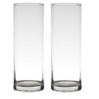 Set van 2x stuks transparante home-basics cylinder vorm vaas/vazen van glas 24 x 9 cm - Vazen