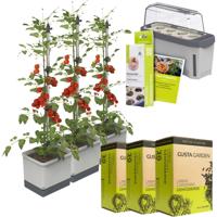 Gusta Garden Tomaten-Power-Set 9-teilig hellgrau TOM TOMATO / HARRY HERBS / Zubehör / W07067 Plantcontainer