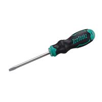 IceToolz (Buzaglo) Icetoolz schroevendraaier plat 6mm met magneet, l=10cm, 28s6
