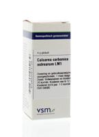VSM Calcarea carbonica ostrearum LM1 4 Gram