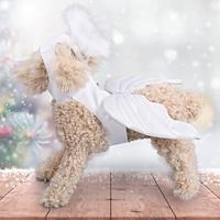 Honden Katten Halloween outfits Hondenkostuum Engel leuke Style Grappig Zacht Halloween Carnaval Feest Hond puppy kleding outfits Lightinthebox - thumbnail