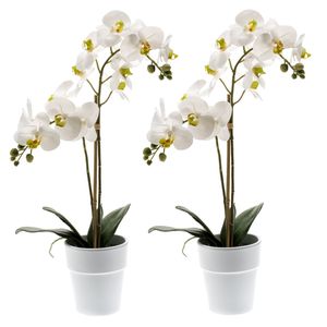 Set van 2x stuks witte orchidee Orchidaceae kunstplanten in kunststof pot 65 cm