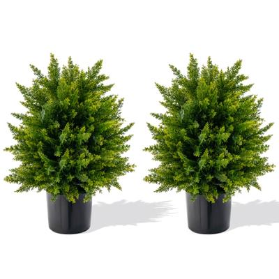 Set van 2 Kunstplanten Cederbuxus Kunstboom met Pot Kunstmatige Decoratieve Plant Kamerplant 55 cm