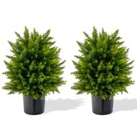 Set van 2 Kunstplanten Cederbuxus Kunstboom met Pot Kunstmatige Decoratieve Plant Kamerplant 55 cm
