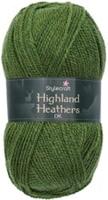 Stylecraft Highland Heathers DK 3789 Lowland Green - thumbnail