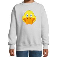 Cartoon eend trui grijs voor jongens en meisjes - Cartoon dieren sweater kinderen 14-15 jaar (170/176)  -