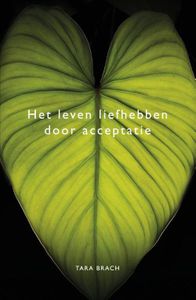 Het leven liefhebben door acceptatie - Tara Brach - ebook