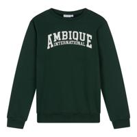 Ambique winter sweater jongens - Ivan - groen