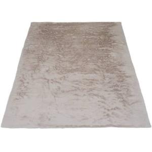 Veer Carpets - Vloerkleed Gentle Beige 70 - 140 x 200 cm