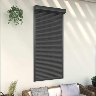 Rolluik 100x210 cm aluminium antracietkleurig