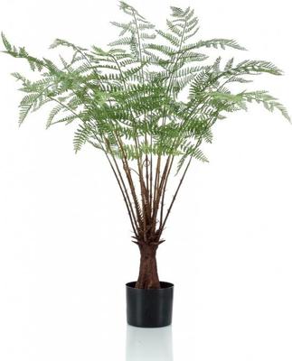 Fern plant 100 cm - Emerald