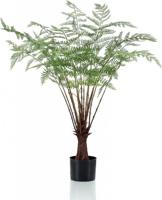 Fern plant 100 cm - Emerald