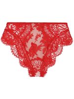 Dolce & Gabbana culotte en dentelle à taille haute - Rouge - thumbnail