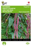 Kousenband paars Tuinplus - Buzzy