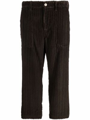 Jejia pantalon court en velours côtelé - Marron
