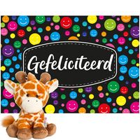 Keel Toys pluche giraffe knuffel 14 cm met Gefeliciteerd A5 wenskaart