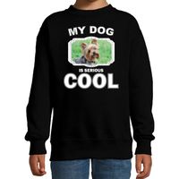 Honden liefhebber trui / sweater Yorkshire terrier my dog is serious cool zwart voor kinderen