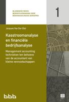 Kasstroomanalyse en financiële bedrijfsanalyse (Paperback)