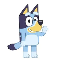 Bluey sierkussen 26 x 33 cm