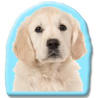 Kleur Voorzijde: - Pillow Buddies