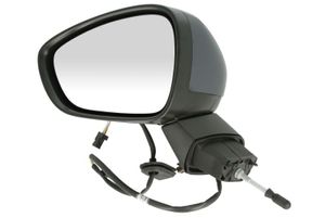 Buitenspiegel RV150046