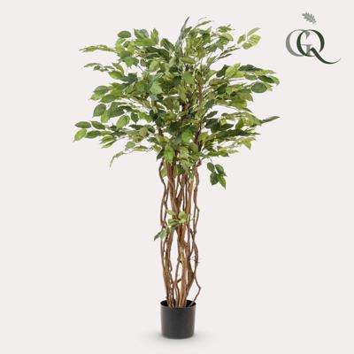kunstplant - Ficus liana - Vioolbladplant - 140cm