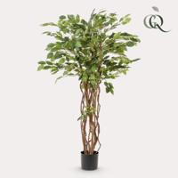 kunstplant - Ficus liana - Vioolbladplant - 140cm