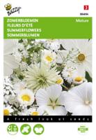 Zomerbloemen Witte Tinten - Buzzy