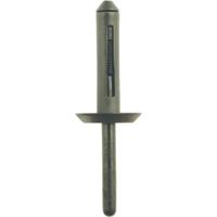KS Tools 420.5275 Kunststof klinknagel voor Ford, verpakking van 50 stuks