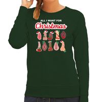 Foute kersttrui/sweater dames - All I want for Christmas - piemel/vagina - groen - thumbnail