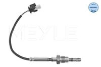 Sensor, uitlaatgastemperatuur 0148000186
