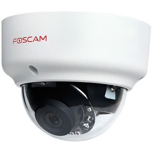 Foscam D2EP beveiligingscamera