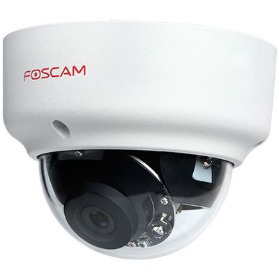 Foscam D2EP beveiligingscamera