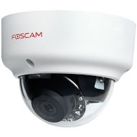Foscam D2EP beveiligingscamera