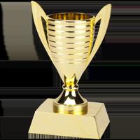 Sportprijzen Leiden Trofee X610