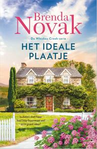 Het ideale plaatje (Paperback)