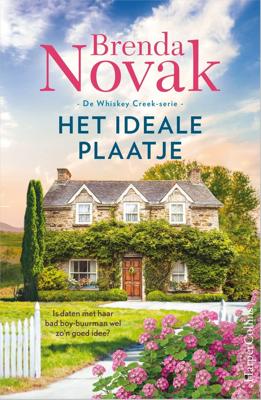 Het ideale plaatje (Paperback)