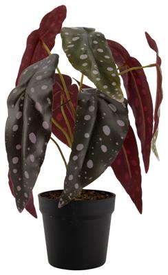 HEMA Kunstplant begonia met stippen (groen)