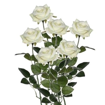 Mica decorations kunstroos kunstbloemen - 6x - creme wit - 66 cm - boeketten - rozen Mica decorations kunstroos kunstbloemen - 6x - creme wit - 66 cm - boeketten - rozen