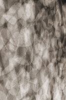 Moooi Carpets - Vloerkleed Flowing Petals Soft Yarn - - thumbnail