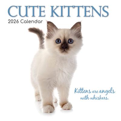 Cute Kittens Kalender 2026