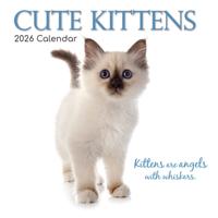 Cute Kittens Kalender 2026