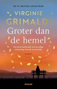 Groter dan de hemel - Virginie Grimaldi - ebook
