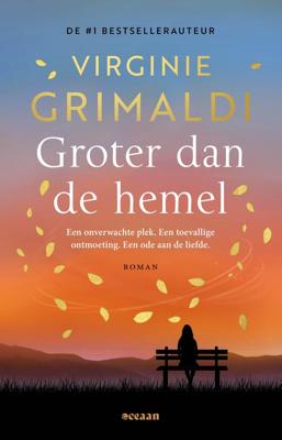 Groter dan de hemel - Virginie Grimaldi - ebook